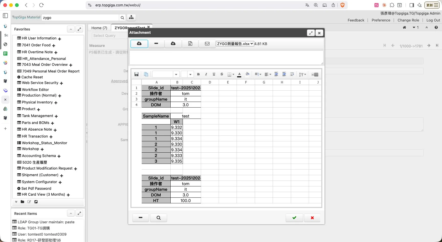 ERP 自動產生 ZYGO 量測報告